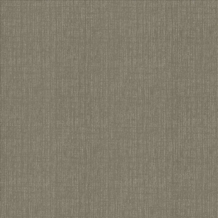 Ascent Storm by Kasmir Fabric 5119 58% Polyester
42% Cotton
 INDIA </p><p>Repeat: Horizontal: N/A and Vertical: N/A 54 - Fabric Carolina -