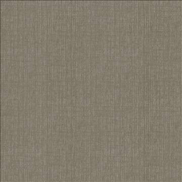Ascent Storm by Kasmir Fabric 5119 58% Polyester 42% Cotton INDIA 12,000 Wyzenbeek Double Rubs H: N/A, V: N/A 54 - Fabric Carolina - Kasmir