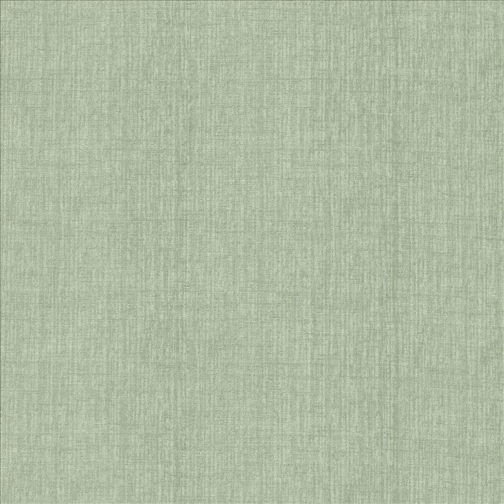 Ascent Tiffany by Kasmir Fabric 5119 58% Polyester
42% Cotton
 INDIA </p><p>Repeat: Horizontal: N/A and Vertical: N/A 54 - Fabric Carolina -