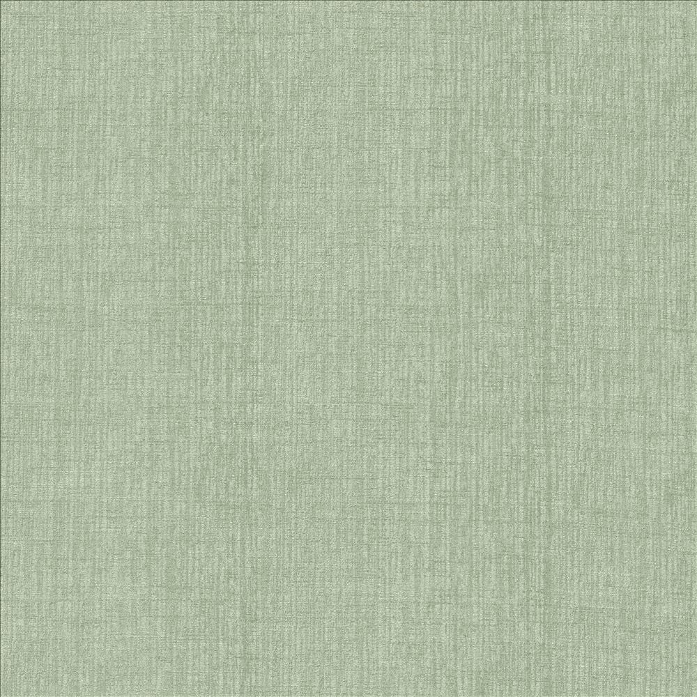 Ascent Tiffany by Kasmir Fabric 5119 58% Polyester
42% Cotton
 INDIA </p><p>Repeat: Horizontal: N/A and Vertical: N/A 54 - Fabric Carolina -