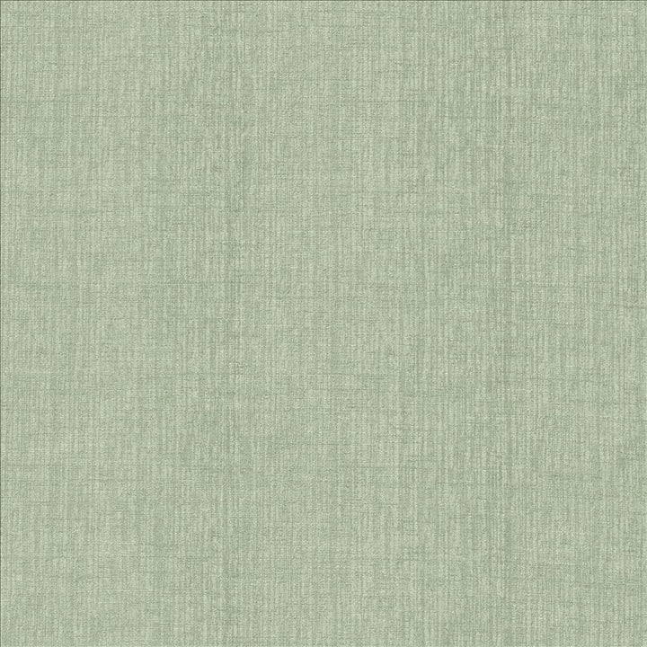 Ascent Tiffany by Kasmir Fabric 5119 58% Polyester
42% Cotton
 INDIA 12,000 Wyzenbeek Double Rubs </p><p>Repeat: Horizontal: N/A and Vertical: N/A 54 - Fabric Carolina -