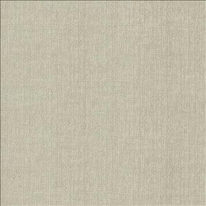 Ascent Titanium by Kasmir Fabric