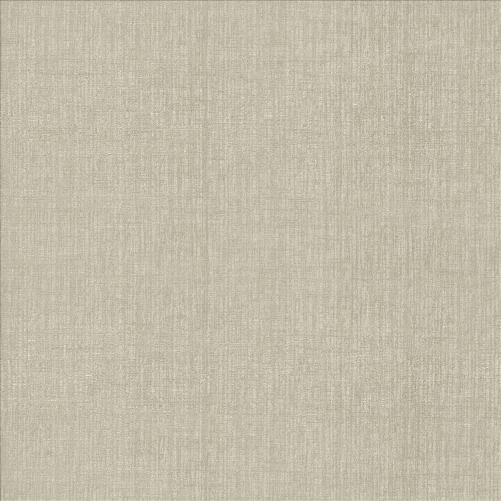 Ascent Titanium by Kasmir Fabric 5119 58% Polyester
42% Cotton
 INDIA </p><p>Repeat: Horizontal: N/A and Vertical: N/A 54 - Fabric Carolina -