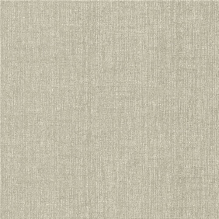 Ascent Titanium by Kasmir Fabric 5119 58% Polyester
42% Cotton
 INDIA </p><p>Repeat: Horizontal: N/A and Vertical: N/A 54 - Fabric Carolina -