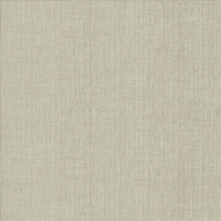 Ascent Titanium by Kasmir Fabric 5119 58% Polyester
42% Cotton
 INDIA 12,000 Wyzenbeek Double Rubs </p><p>Repeat: Horizontal: N/A and Vertical: N/A 54 - Fabric Carolina -