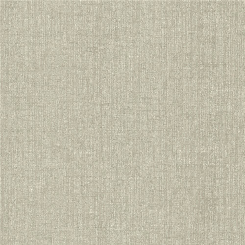Ascent Titanium  by Kasmir Fabric See sample 58% Polyester
42% Cotton
 INDIA 12,000 Wyzenbeek Double Rubs </p><p>Repeat: Horizontal: N/A and Vertical: N/A 54  - Fabric Carolina -
