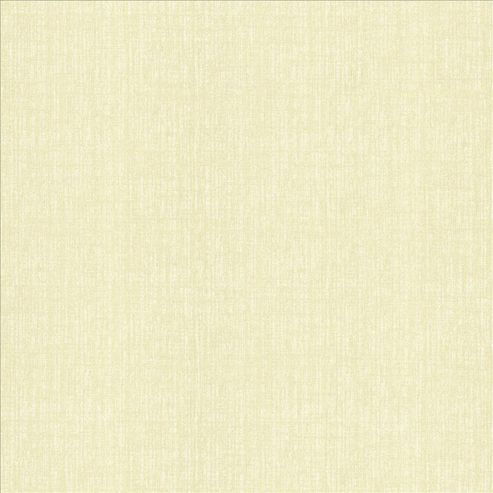 Ascent Vanilla by Kasmir Fabric 5119 58% Polyester
42% Cotton
 INDIA </p><p>Repeat: Horizontal: N/A and Vertical: N/A 54 - Fabric Carolina -