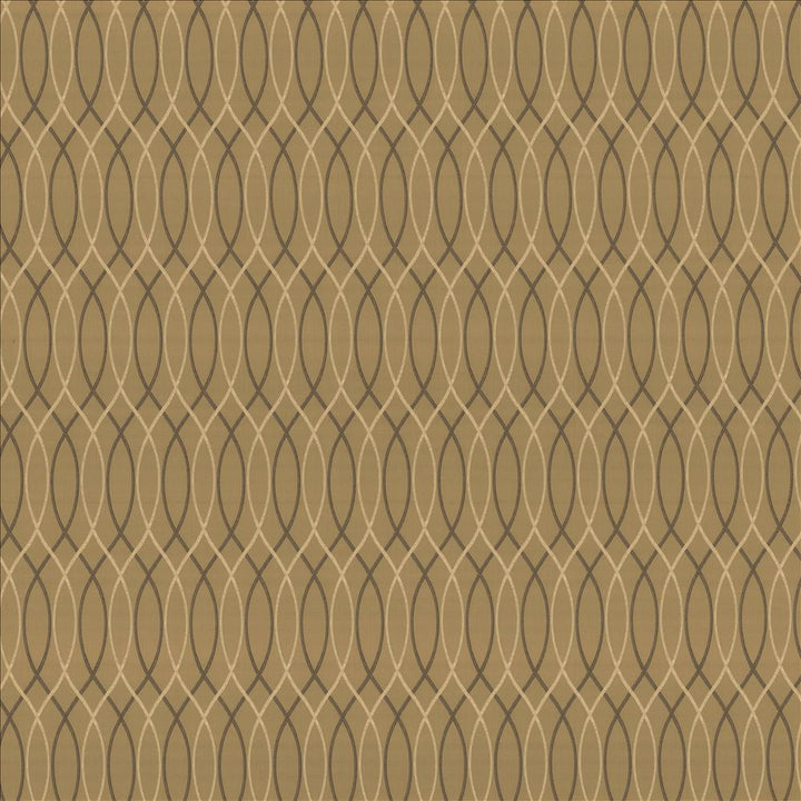 Asher Trellis Truffle by Kasmir Fabric 1438 100% Polyester
 TURKEY </p><p>Repeat: Horizontal: 2 2/8 inches and Vertical: 12 2/8 inches 57 - 58 - Fabric Carolina -