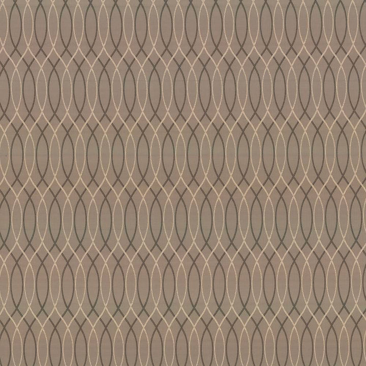 Asher Trellis Truffle by Kasmir Fabric 1438 100% Polyester TURKEY 30,000 Wyzenbeek Double Rubs H: 2 2/8 inches, V:12 2/8 inches 57 - 58 - Fabric Carolina - Kasmir
