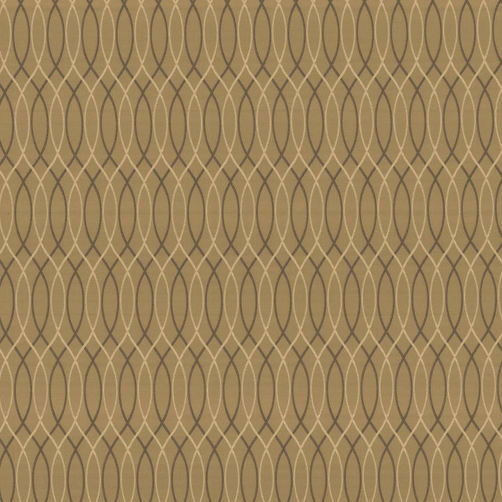 Asher Trellis Truffle by Kasmir Fabric 1438 100% Polyester
 TURKEY </p><p>Repeat: Horizontal: 2 2/8 inches and Vertical: 12 2/8 inches 57 - 58 - Fabric Carolina -