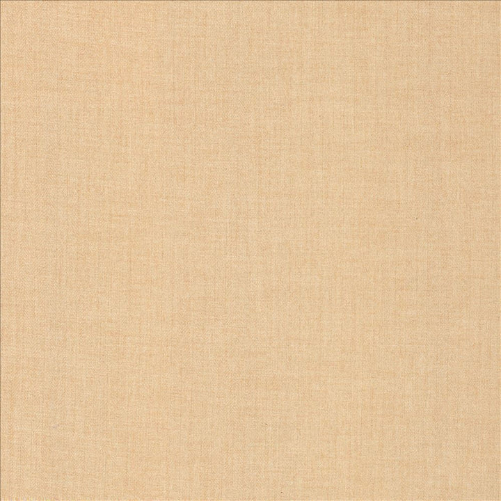Ashlynn Blush by Kasmir Fabric 5159 100% Polyester TAIWAN 50,000 Wyzenbeek Double Rubs Horizontal: 0 Inches and Vertical: 0 Inches 54 - Fabric Carolina -