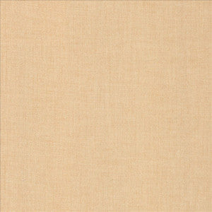 Ashlynn Blush by Kasmir Fabric