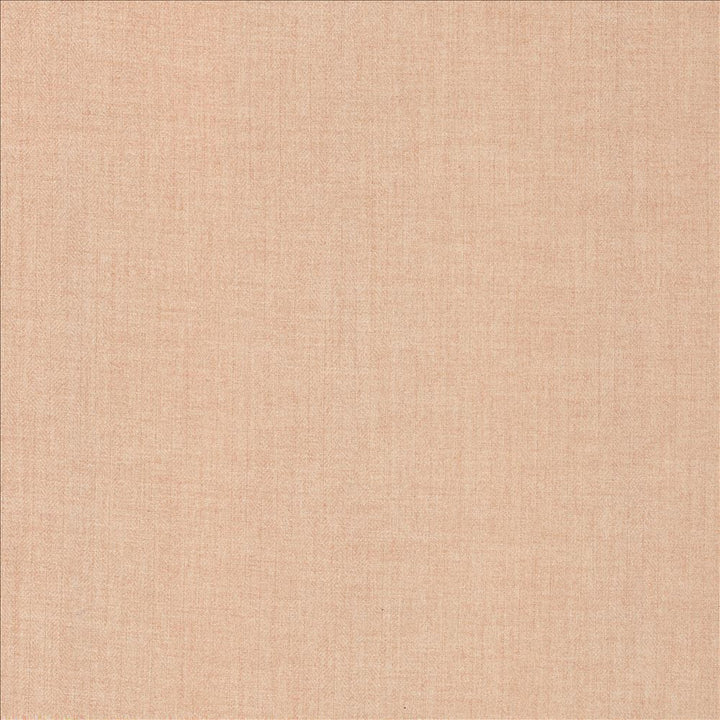 Ashlynn Blush by Kasmir Fabric 5159 100% Polyester
 TAIWAN 50,000 Wyzenbeek Double Rubs </p><p>Repeat: Horizontal: N/A and Vertical: N/A 54 - Fabric Carolina -