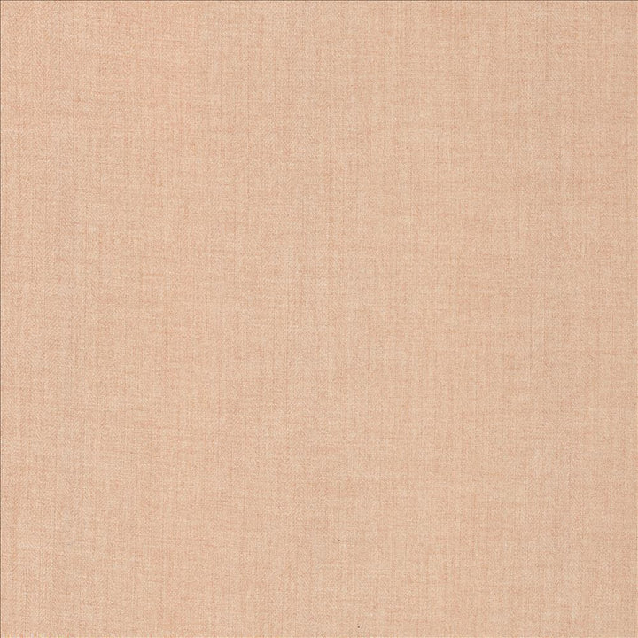Ashlynn Blush by Kasmir Fabric 5159 100% Polyester
 TAIWAN </p><p>Repeat: Horizontal: N/A and Vertical: N/A 54 - Fabric Carolina -