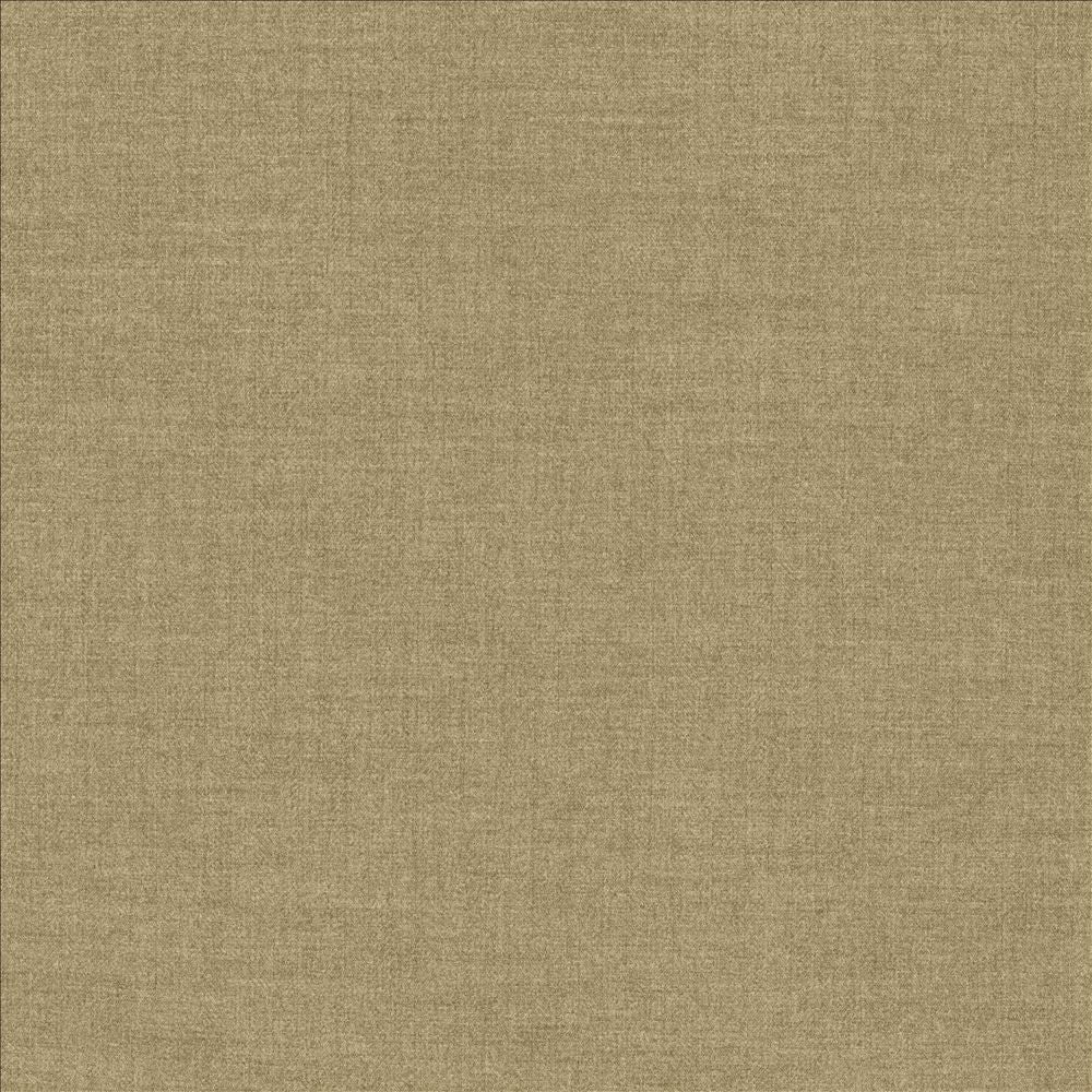 Ashlynn Hemp by Kasmir Fabric 5159 100% Polyester TAIWAN 50,000 Wyzenbeek Double Rubs Horizontal: 0 Inches and Vertical: 0 Inches 54 - Fabric Carolina -