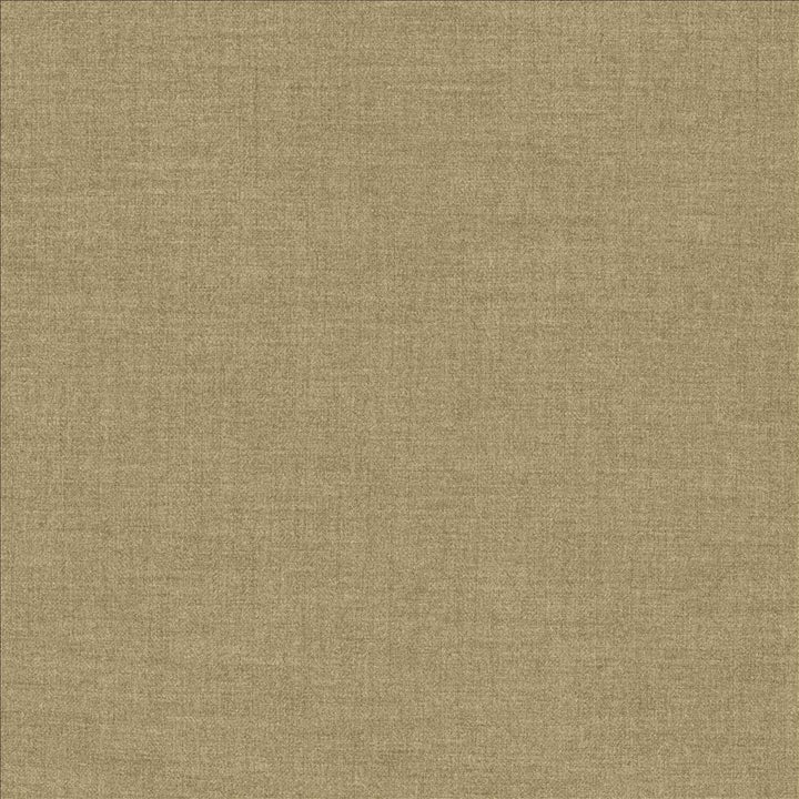 Ashlynn Hemp by Kasmir Fabric 5159 100% Polyester TAIWAN 50,000 Wyzenbeek Double Rubs Horizontal: 0 Inches and Vertical: 0 Inches 54 - Fabric Carolina -