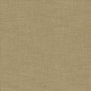Ashlynn Hemp by Kasmir Fabric