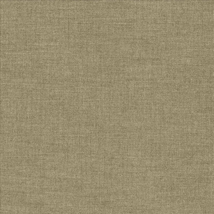 Ashlynn Hemp by Kasmir Fabric 5159 100% Polyester
 TAIWAN 50,000 Wyzenbeek Double Rubs </p><p>Repeat: Horizontal: N/A and Vertical: N/A 54 - Fabric Carolina -