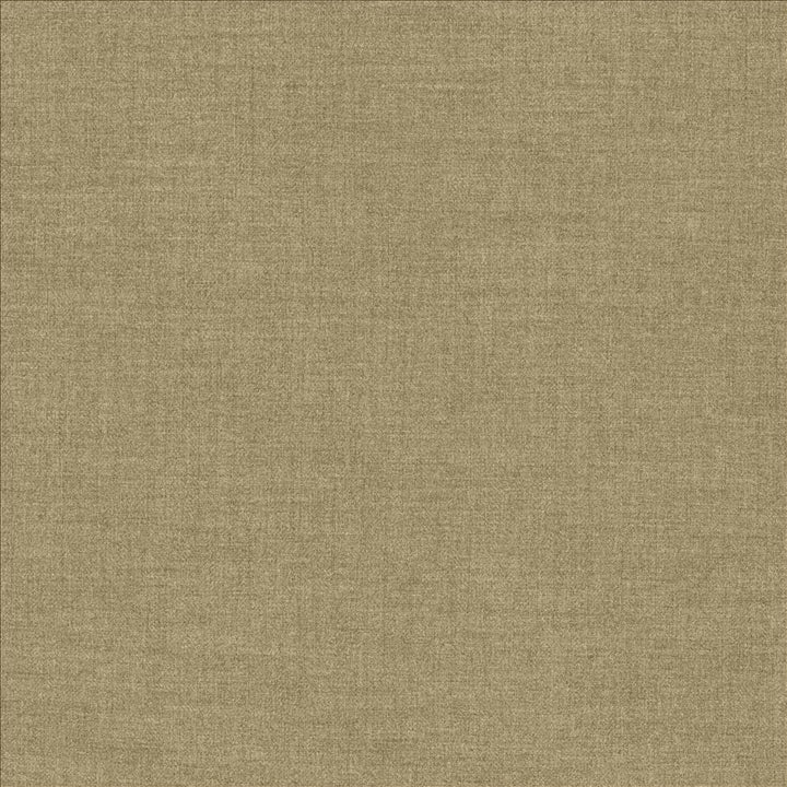 Ashlynn Hemp by Kasmir Fabric 5159 100% Polyester
 TAIWAN 50,000 Wyzenbeek Double Rubs Horizontal: N/A and Vertical: N/A 54 - Fabric Carolina -