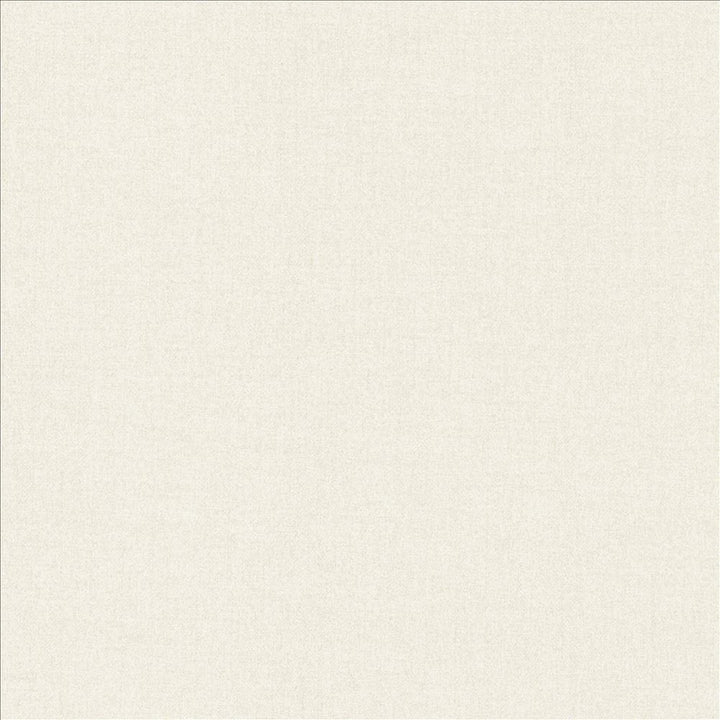 Ashlynn Snow by Kasmir Fabric 5159 100% Polyester
 TAIWAN 50,000 Wyzenbeek Double Rubs </p><p>Repeat: Horizontal: N/A and Vertical: N/A 54 - Fabric Carolina -