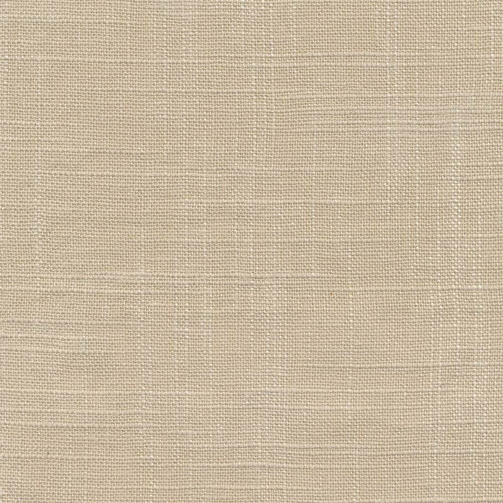 Ashton Flax Flaxen by Kasmir Fabric 1386 69% Rayon 31% Linen CHINA 6,000 Wyzenbeek Double Rubs H: N/A, V:N/A 54 - Fabric Carolina - Kasmir