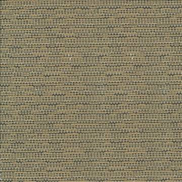Asina Travertine by Kasmir Fabric 1416 100% Polyester TURKEY 25,000 Wyzenbeek Double Rubs H: N/A, V: N/A 54 - 55 - Fabric Carolina - Kasmir