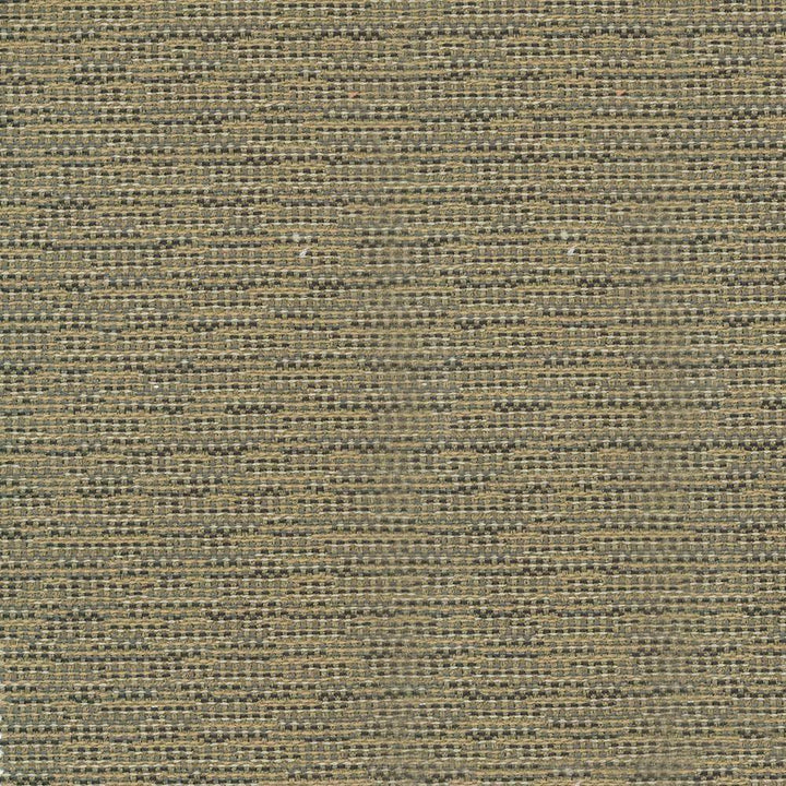 Asina Travertine by Kasmir Fabric 1416 100% Polyester TURKEY 25,000 Wyzenbeek Double Rubs H: N/A, V:N/A 54 - 55 - Fabric Carolina - Kasmir