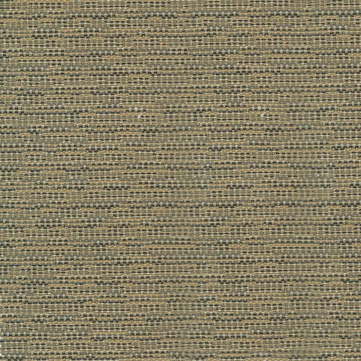 Asina Travertine  by Kasmir Fabric See sample 100% Polyester
 TURKEY 25,000 Wyzenbeek Double Rubs </p><p>Repeat: Horizontal: N/A and Vertical: N/A 54  - Fabric Carolina -