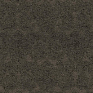 Asteria Charcoal by Kasmir Fabric