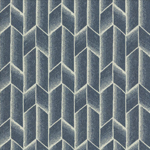 Astonish Denim by Kasmir Fabric