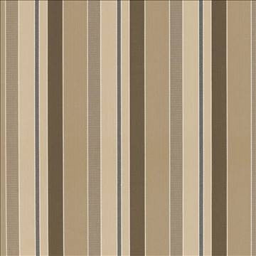 At Large Io Brass by Kasmir Fabric 1413 100% Acrylic USA 12,000 Wyzenbeek Double Rubs H: 9 6/8 inches, V: N/A 54 - Fabric Carolina - Kasmir