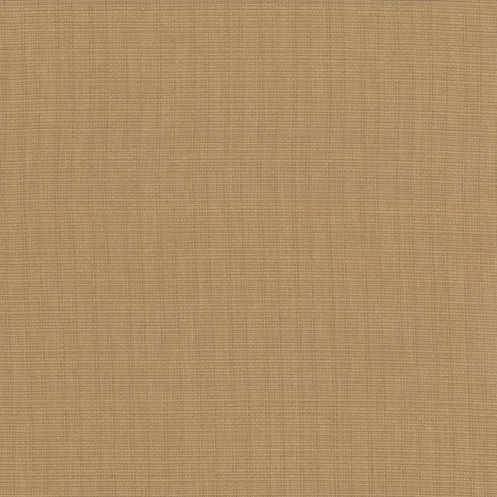 Auberge Almond by Kasmir Fabric 5055 100% Polyester
 TAIWAN </p><p>Repeat: Horizontal: N/A and Vertical: N/A 59 - 60 - Fabric Carolina -