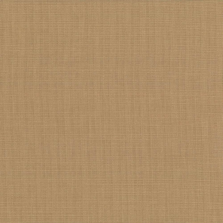 Auberge Almond by Kasmir Fabric 5055 100% Polyester
 TAIWAN 100,000 Wyzenbeek Double Rubs </p><p>Repeat: Horizontal: N/A and Vertical: N/A 59 - Fabric Carolina -