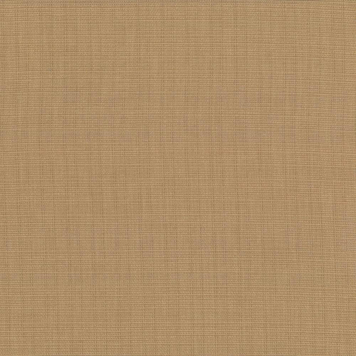 Auberge Almond by Kasmir Fabric 5055 100% Polyester TAIWAN 100,000 Wyzenbeek Double Rubs H: N/A, V:N/A 59 - 60 - Fabric Carolina - Kasmir