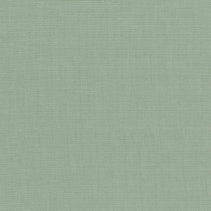 Auberge Celadon by Kasmir Fabric 5055 100% Polyester
 TAIWAN </p><p>Repeat: Horizontal: N/A and Vertical: N/A 59 - 60 - Fabric Carolina -
