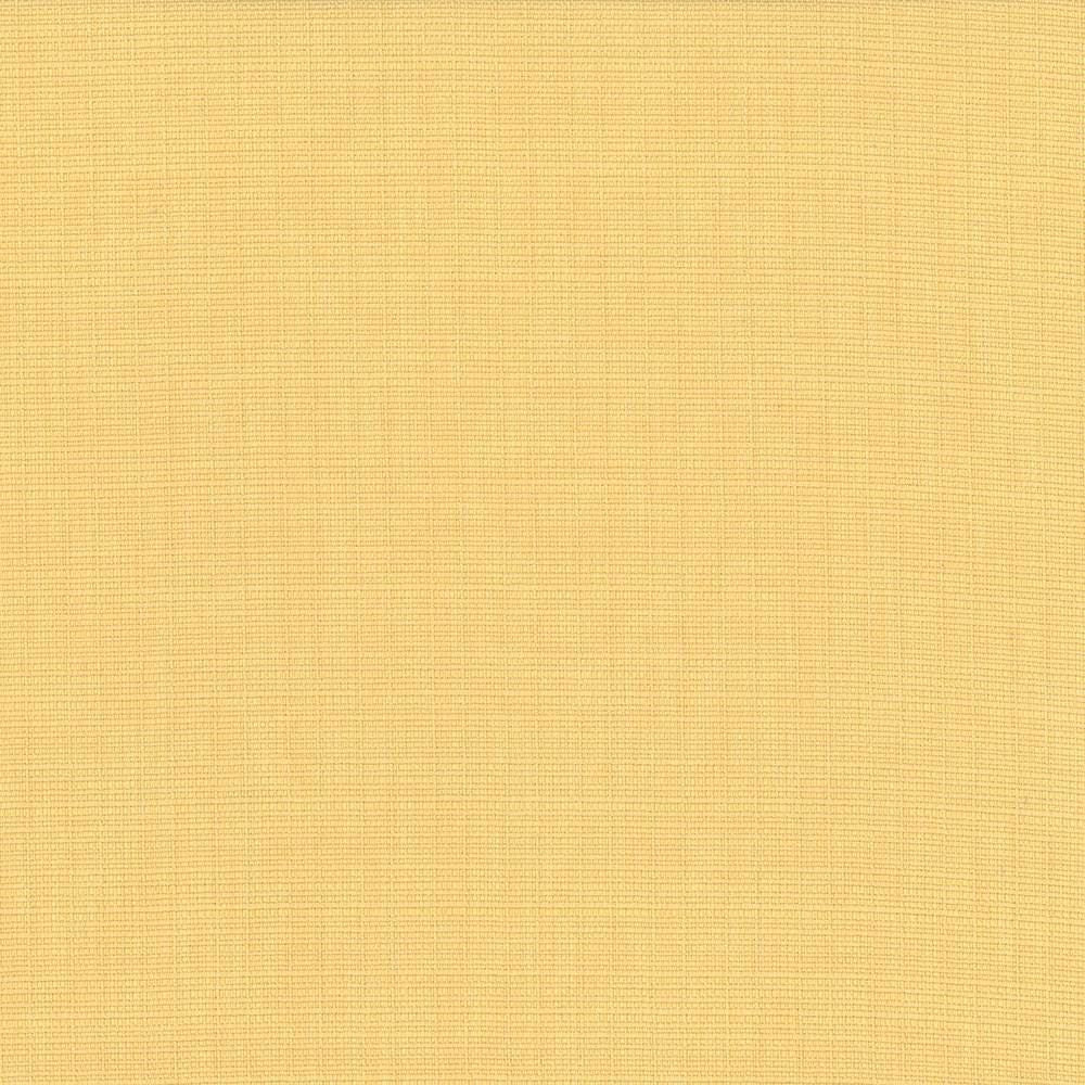Auberge Champagne by Kasmir Fabric 5055 100% Polyester
 TAIWAN 100,000 Wyzenbeek Double Rubs Horizontal: N/A and Vertical: N/A 59 - Fabric Carolina -