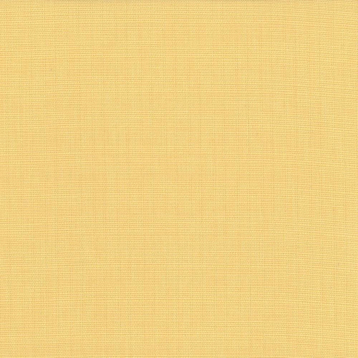 Auberge Champagne by Kasmir Fabric 5055 100% Polyester
 TAIWAN </p><p>Repeat: Horizontal: N/A and Vertical: N/A 59 - 60 - Fabric Carolina -