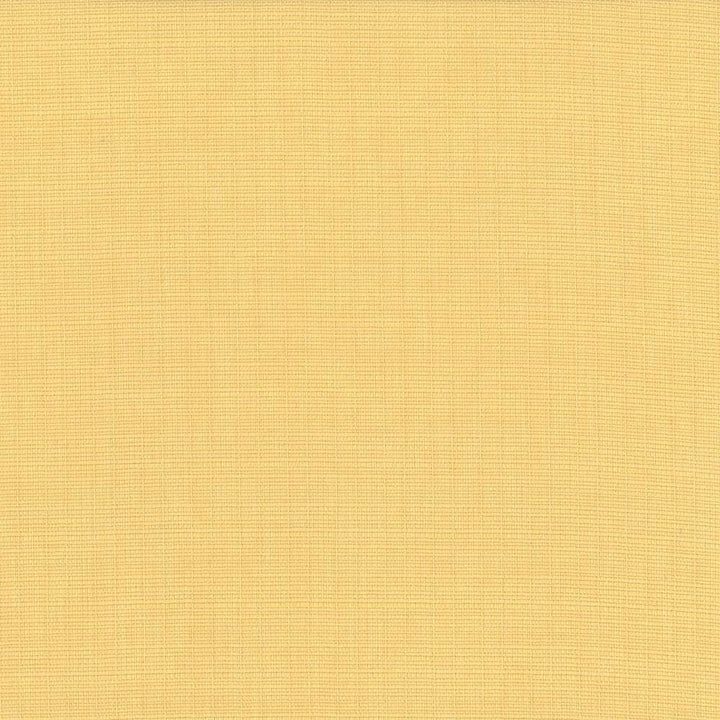 Auberge Champagne by Kasmir Fabric 5055 100% Polyester
 TAIWAN </p><p>Repeat: Horizontal: N/A and Vertical: N/A 59 - 60 - Fabric Carolina -
