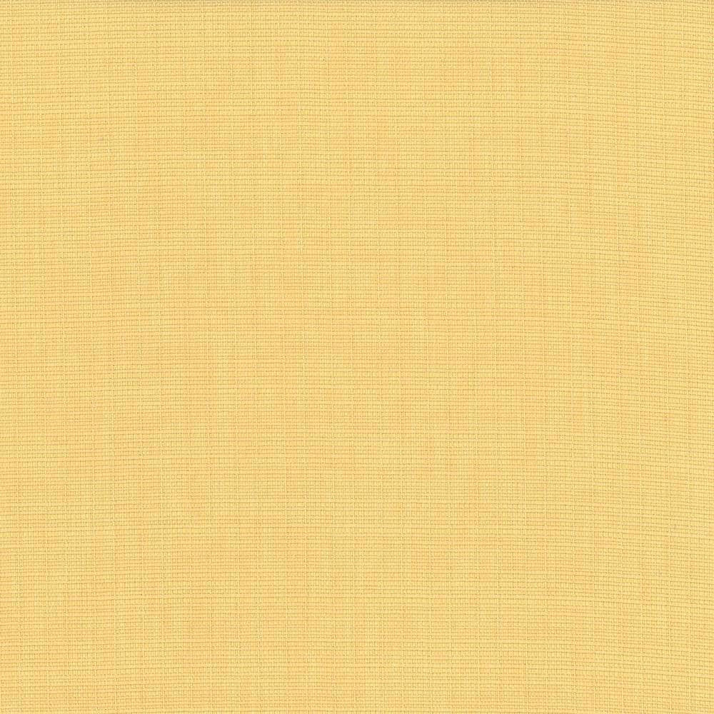 Auberge Champagne by Kasmir Fabric 5055 100% Polyester TAIWAN 100,000 Wyzenbeek Double Rubs H: N/A, V:N/A 59 - 60 - Fabric Carolina - Kasmir