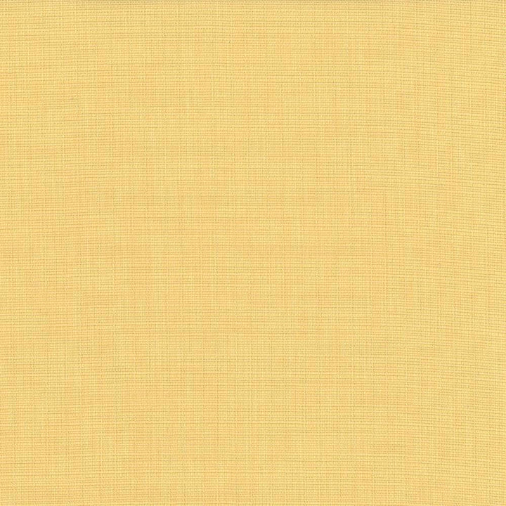 Auberge Champagne by Kasmir Fabric 5055 100% Polyester TAIWAN 100,000 Wyzenbeek Double Rubs H: N/A, V:N/A 59 - 60 - Fabric Carolina - Kasmir