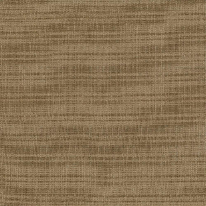 Auberge Cork by Kasmir Fabric 5055 100% Polyester
 TAIWAN </p><p>Repeat: Horizontal: N/A and Vertical: N/A 59 - 60 - Fabric Carolina -