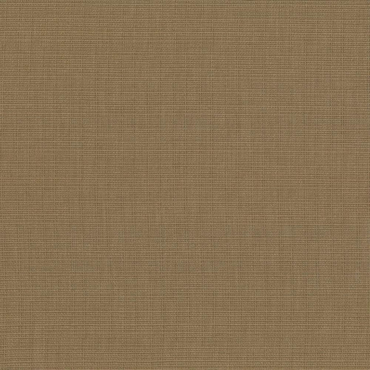Auberge Cork by Kasmir Fabric 5055 100% Polyester
 TAIWAN </p><p>Repeat: Horizontal: N/A and Vertical: N/A 59 - 60 - Fabric Carolina -