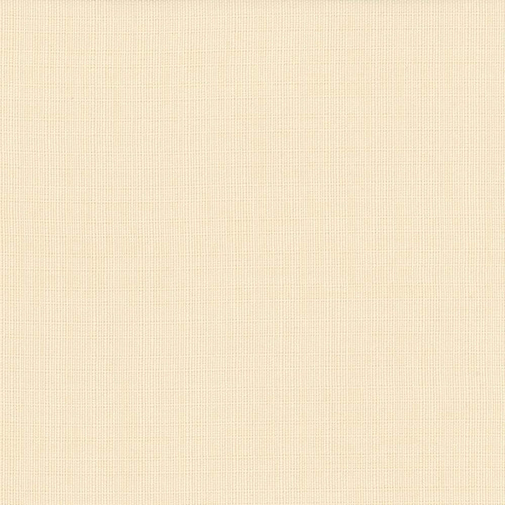 Auberge Creme by Kasmir Fabric 5055 100% Polyester
 TAIWAN </p><p>Repeat: Horizontal: N/A and Vertical: N/A 59 - 60 - Fabric Carolina -