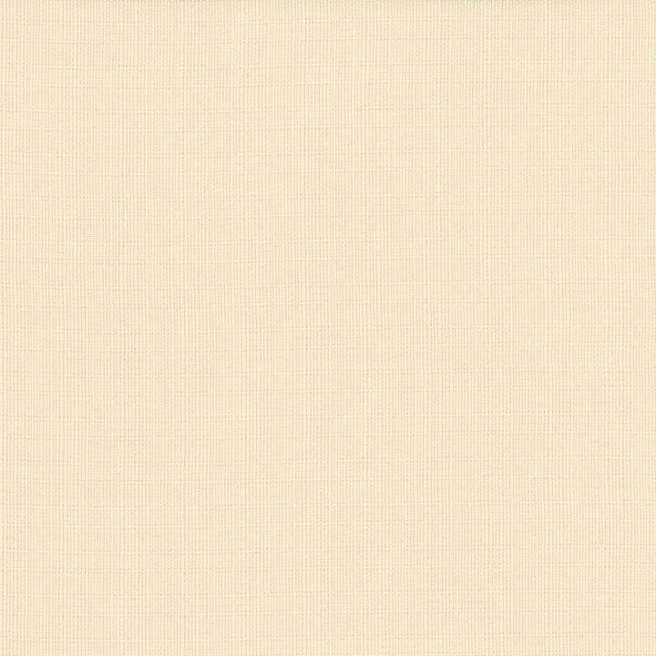 Auberge Creme by Kasmir Fabric 5055 100% Polyester
 TAIWAN 100,000 Wyzenbeek Double Rubs </p><p>Repeat: Horizontal: N/A and Vertical: N/A 59 - Fabric Carolina -