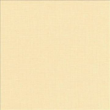 Auberge Ecru by Kasmir Fabric 5055 100% Polyester TAIWAN 100,000 Wyzenbeek Double Rubs H: N/A, V: N/A 59 - 60 - Fabric Carolina - Kasmir