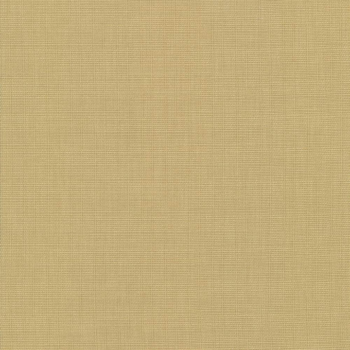 Auberge Gold by Kasmir Fabric 5055 100% Polyester
 TAIWAN </p><p>Repeat: Horizontal: N/A and Vertical: N/A 59 - 60 - Fabric Carolina -