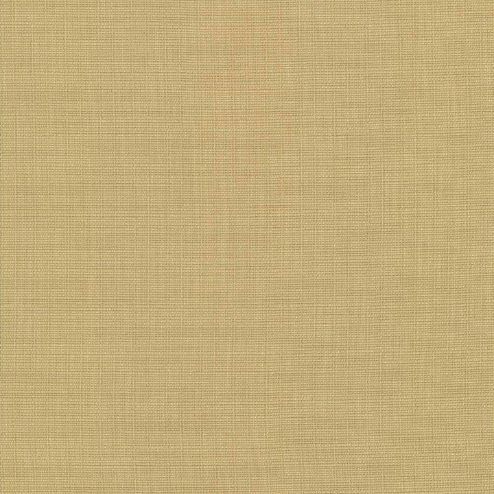 Auberge Gold by Kasmir Fabric 5055 100% Polyester TAIWAN 100,000 Wyzenbeek Double Rubs H: N/A, V:N/A 59 - 60 - Fabric Carolina - Kasmir