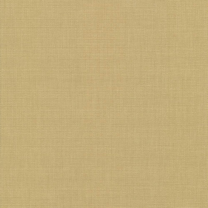 Auberge Gold by Kasmir Fabric 5055 100% Polyester
 TAIWAN 100,000 Wyzenbeek Double Rubs </p><p>Repeat: Horizontal: N/A and Vertical: N/A 59 - Fabric Carolina -
