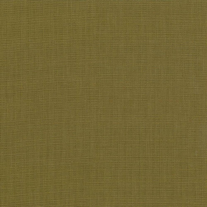 Auberge Olive by Kasmir Fabric 5055 100% Polyester TAIWAN 100,000 Wyzenbeek Double Rubs H: N/A, V:N/A 59 - 60 - Fabric Carolina - Kasmir