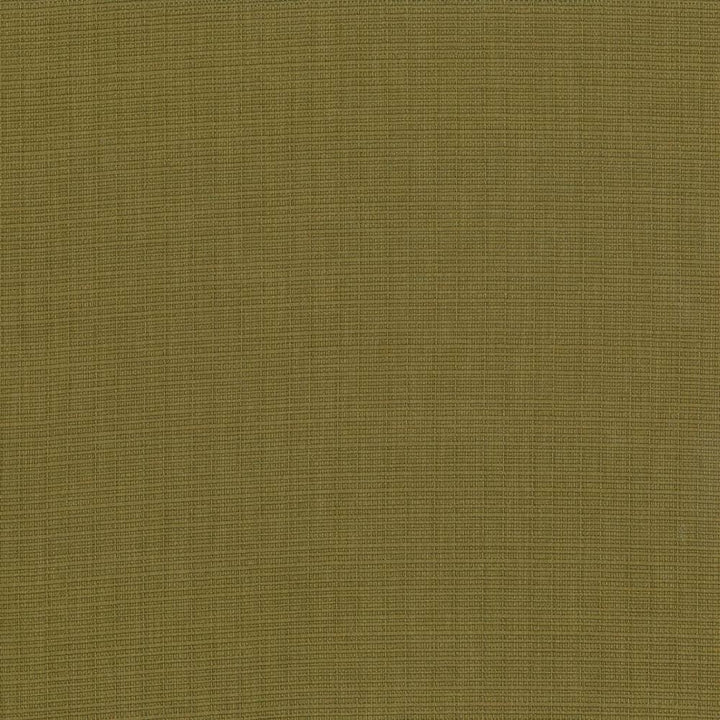 Auberge Olive by Kasmir Fabric 5055 100% Polyester
 TAIWAN </p><p>Repeat: Horizontal: N/A and Vertical: N/A 59 - 60 - Fabric Carolina -